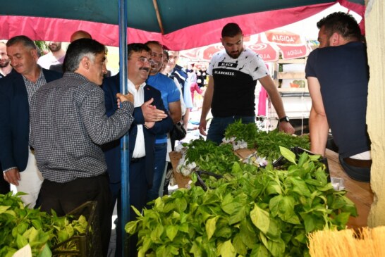 AK Parti Artvin’de Seçim Çalışmalarına Hız Verdi
