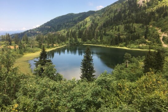 Damar  Karagöl Murgul’da Turizmin Gelişmesine Katkı Sağlayacak!