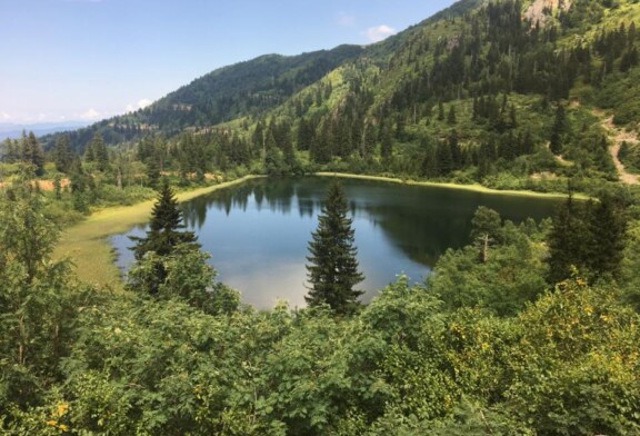 Damar  Karagöl Murgul’da Turizmin Gelişmesine Katkı Sağlayacak!