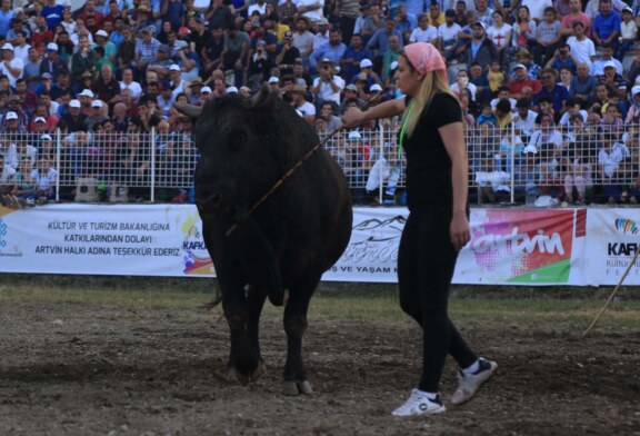 Üniversite Mezunu Kadın Boğacı, Boğasını Arenaya Tek Başına Getirdi!