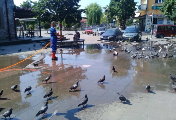 Sıcaktan Bunalan Güvercinler Serinlemenin Yolunu Buldu