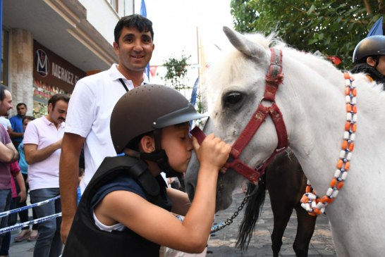 Çocuklardan  Pony Cinsi Atlara Yoğun İlgi