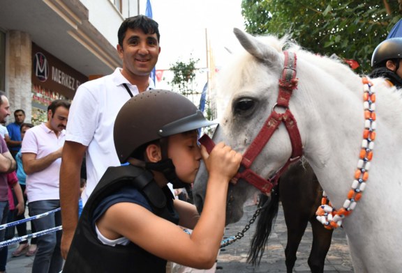Çocuklardan  Pony Cinsi Atlara Yoğun İlgi